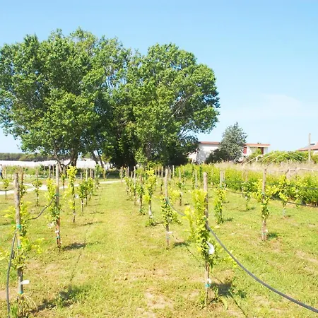 Resort Esperidi Paestum Agri